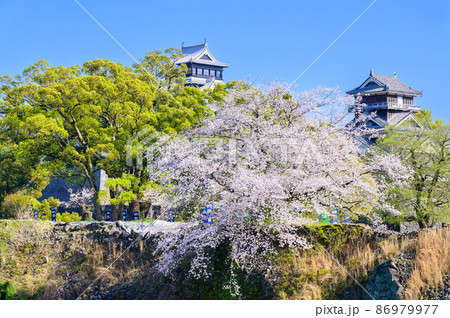 桜花咲く季節 加藤神社・天守閣・宇土櫓 熊本城 Kumamoto Castle 桜花咲く季節 加藤神社・天守閣・宇土櫓 熊本城 Kumamoto Castle 86979977