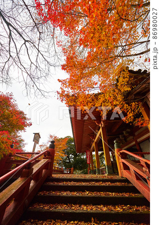 秋の大崎寺,阿彌陀堂 秋の大崎寺,阿彌陀堂 86980027