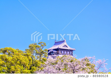 桜花咲く季節 天守閣と桜風景 熊本城 Kumamoto Castle 桜花咲く季節 天守閣と桜風景 熊本城 Kumamoto Castle 86980028