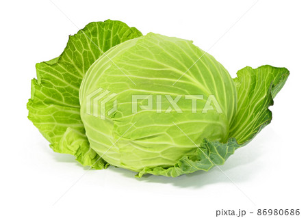 【キャベツ】 (深度合成) 【キャベツ】 (深度合成) 86980686