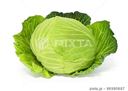 【キャベツ】 (深度合成) 86980687