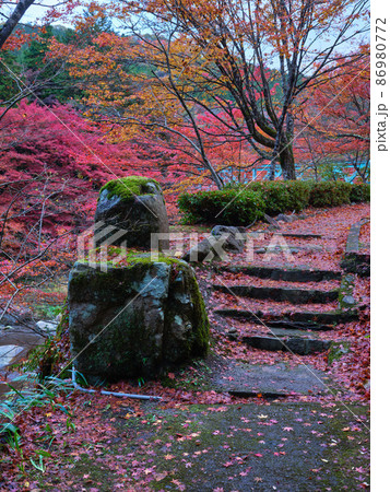 秋の奥津渓谷 86980772