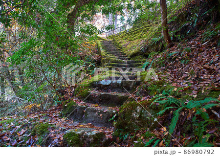 秋の奥津渓谷 86980792