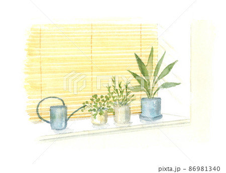 出窓に観葉植物の水彩イラスト 86981340