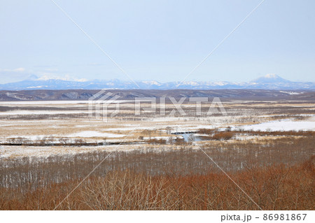 冬の釧路湿原 冬の釧路湿原 86981867