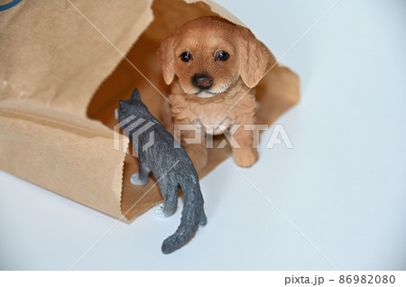 狭いところの好きな猫と犬 86982080