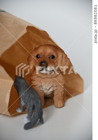 狭いところの好きな猫と犬 狭いところの好きな猫と犬 86982081