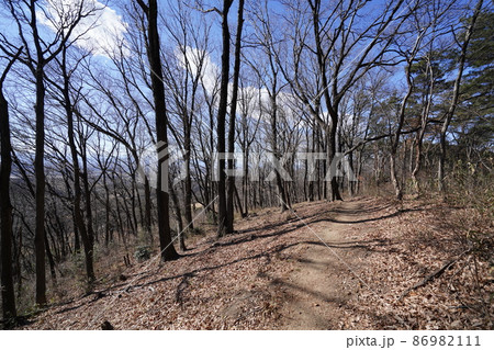 太田市 八王子丘陵ハイキング道 唐沢山から菅塩峠を経て籾山峠へ 籾山峠への緩やかな下り道 太田市 八王子丘陵ハイキング道 唐沢山から菅塩峠を経て籾山峠へ 籾山峠への緩やかな下り道 86982111