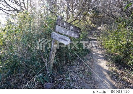 太田市 桐生市 八王子丘陵ハイキング 籾山峠から茶臼山へ 茶臼山ハイキングコースへ入る 太田市 桐生市 八王子丘陵ハイキング 籾山峠から茶臼山へ 茶臼山ハイキングコースへ入る 86983410