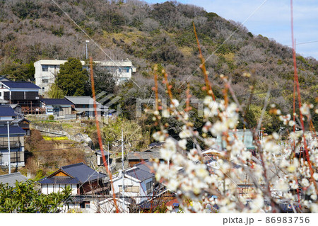 岡山県最南端の島・六島　笠岡市立六島小学校と【廃校】笠岡市立六島中学校遠望　岡山県笠岡市 86983756