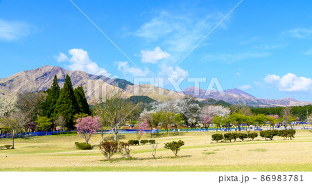 一心行の公園から全景風景 一心行の大櫻 阿蘇の山並み景色 Isshingyo Sakura 一心行の公園から全景風景 一心行の大櫻 阿蘇の山並み景色 Isshingyo Sakura 86983781
