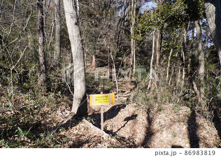 桐生市 八王子丘陵 籾山峠から茶臼山ハイキングコース 庚申塔付近の標識 桐生市 八王子丘陵 籾山峠から茶臼山ハイキングコース 庚申塔付近の標識 86983819