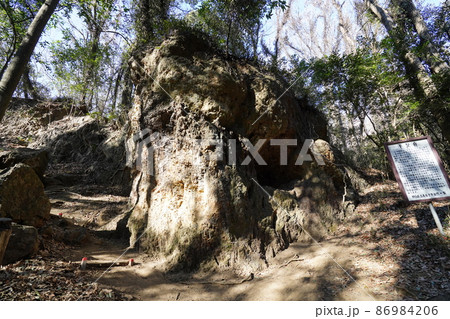 桐生市　八王子丘陵　茶臼山から東毛少年自然の家へ下る途中にある地質の不整合の露出場所 86984206
