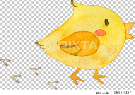 小雞搖搖晃晃的插圖 86984324