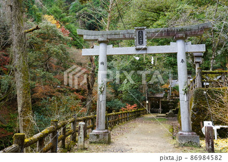 晩秋の天石門別神社の参道 岡山県美作市 晩秋の天石門別神社の参道 岡山県美作市 86984582