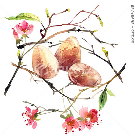 Watercolor bird's nest 86984789