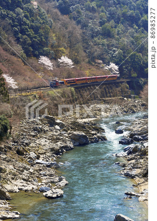 春の保津峡を走る嵯峨野トロッコ列車 春の保津峡を走る嵯峨野トロッコ列車 86985277