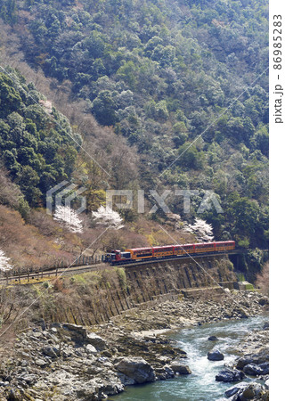 春の保津峡を走る嵯峨野トロッコ列車 春の保津峡を走る嵯峨野トロッコ列車 86985283