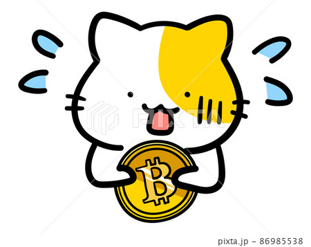 ビットコインに困惑するかわいいねこの手書き風イラストのイラスト素材