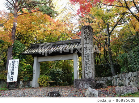滋賀県彦根市にある龍潭寺の正門と紅葉の風景 滋賀県彦根市にある龍潭寺の正門と紅葉の風景 86985609