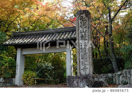滋賀県彦根市にある龍潭寺の正門と紅葉の風景 滋賀県彦根市にある龍潭寺の正門と紅葉の風景 86985675