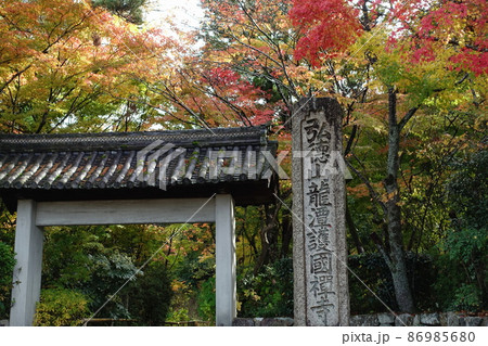 滋賀県彦根市にある龍潭寺の正門と紅葉の風景 滋賀県彦根市にある龍潭寺の正門と紅葉の風景 86985680
