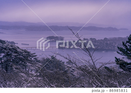 日本三景・松島 西行戻しの松公園から望む松島湾 冬の雪景色(宮城県松島町) 日本三景・松島 西行戻しの松公園から望む松島湾 冬の雪景色(宮城県松島町) 86985831