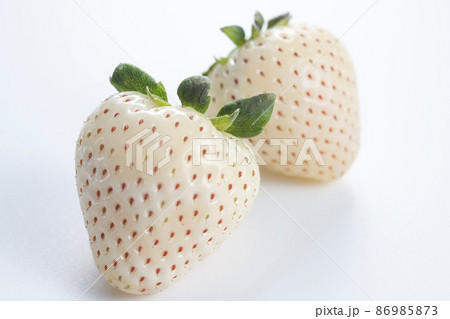 イチゴ　苺　白いイチゴ 86985873