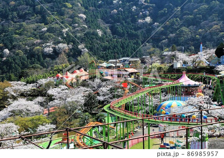 満開の桜に囲まれた遊園地（別府ラクテンチ） 86985957
