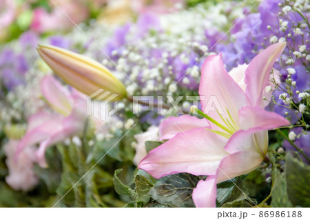葬儀場の花祭壇 葬儀場の花祭壇 86986188