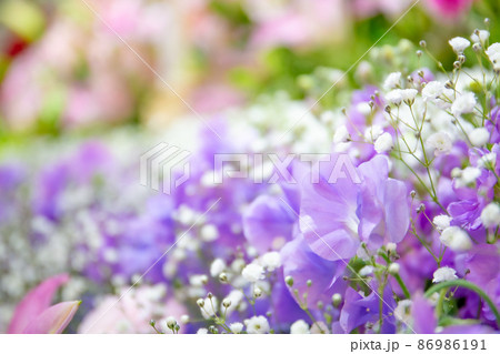 葬儀場の花祭壇 86986191