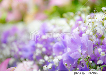 葬儀場の花祭壇 86986366