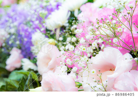 赤い薔薇の接写 86986405