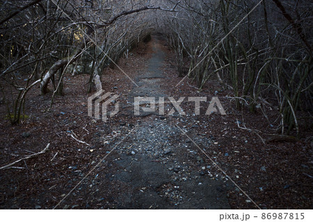 登山道 86987815