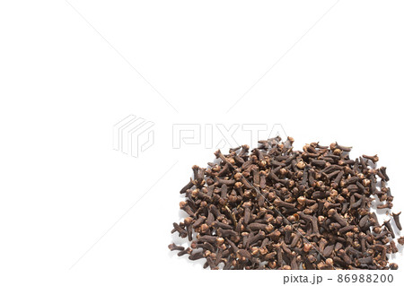 クローブホール クローブ 丁字 スパイス クローブホール クローブ 丁字 スパイス 86988200