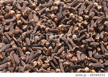 クローブホール　クローブ　テクスチャ　スパイス 86988202