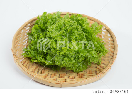 わさび菜 愛彩菜 わさび菜 愛彩菜 86988561