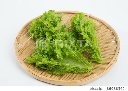 わさび菜　愛彩菜 86988562