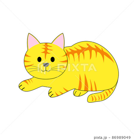 トラ猫 トラ猫 86989049