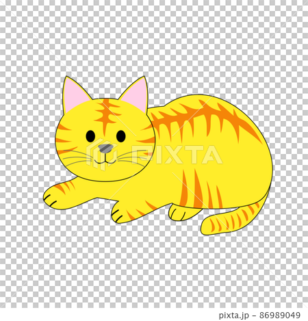 トラ猫 トラ猫 86989049