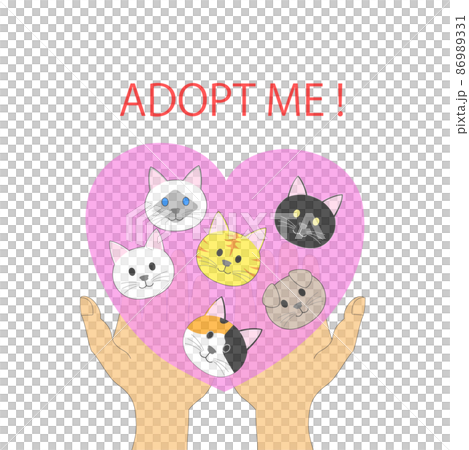 Foster parent recruitment transfer party cat 86989331