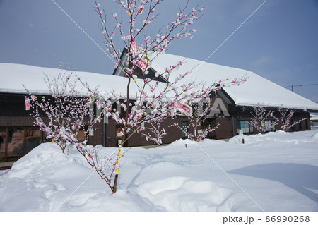 大館アメッコ市の枝アメと秋田犬の里 86990268