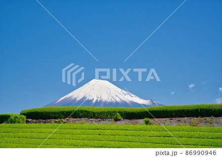【静岡県】5月・大自然を満喫出来る青空の富士山と茶畑 86990946