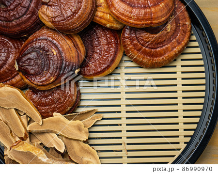 The lingzhi is the ancient mushroom of immortality for medical or food concept The lingzhi is the ancient mushroom of immortality for medical or food concept 86990970