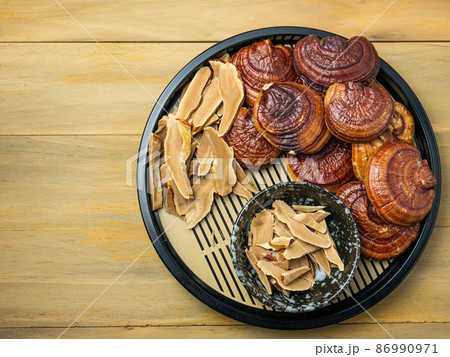 The lingzhi is the ancient mushroom of immortality for medical or food concept The lingzhi is the ancient mushroom of immortality for medical or food concept 86990971