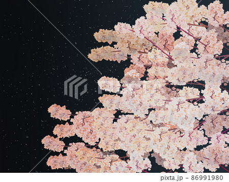 桜の枝左夜空バック 横のイラスト素材
