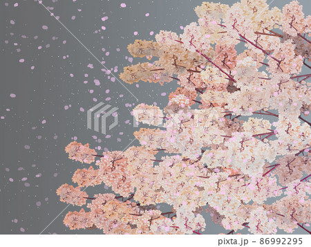 桜花吹雪枝左グレーバック 横のイラスト素材