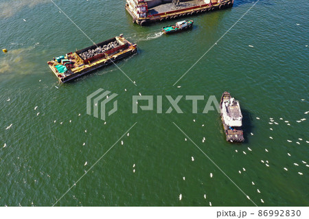the group of White egret fly after a boat near Sha Tin Hoi 4 Feb 2022 86992830
