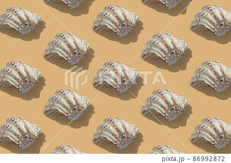 Background from sea shells. Isometric view. Background from sea shells. Isometric view. 86992872