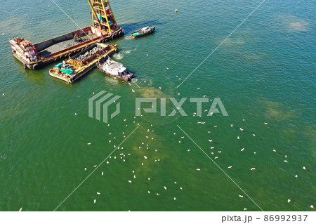 the group of White egret fly after a boat near Sha Tin Hoi 4 Feb 2022 the group of White egret fly after a boat near Sha Tin Hoi 4 Feb 2022 86992937